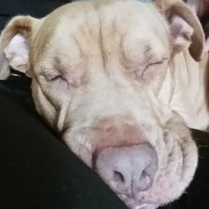 Meet your Posher, Timothy